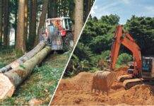 76 Organisationen fordern Aufschub der Entwaldungsverordnung