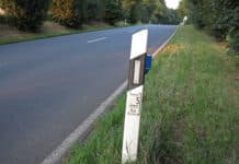 15 Jahre, 500 Reviere: „Wildtiere & Verkehr“ feiert doppeltes Jubiläum