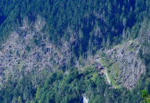 Beihilfen für sorgengeplagte Waldbauern