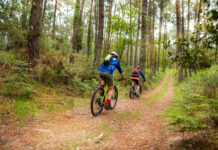 Forstwege: Nein zu Freigabe