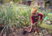 Gartenarbeiten, die im Oktober erledigt werden sollten
