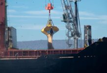 Ukrainische Agrarexporte nehmen zu