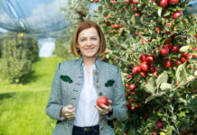 Spätfröste im Obstbau: Land handelt