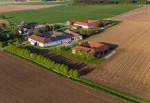 Minus am Feld, Plus im Stall