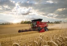 Case IH legt bei Mähdreschern nach