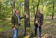 „Dynamische Typisierung“: So wird der Wald klimafit