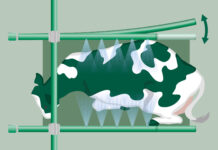 EuroTier und EnergyDecentral: Beste Innovationen stehen fest