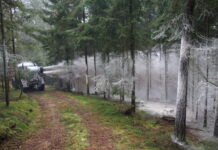 Mit Kalk den Waldboden sanieren