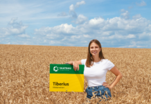 Sichere Mahlweizenqualität