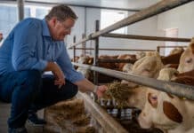 Hofinger: Versorgungssicherheit weiter im Blick behalten