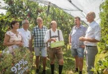 Druck steigt nach Mini-Ernte