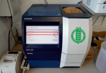 Proteingehalt im Fokus