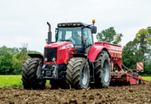 Wintergerstenanbau nicht überstürzen
