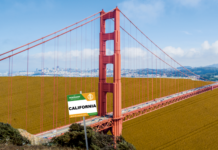 CALIFORNIA & KWS KEITUM komplettieren ein starkes Team