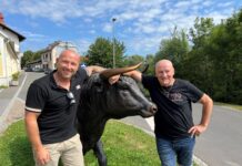 Partnerbetriebe gesucht