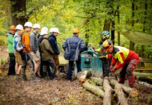 Waldtage 2024: Nachhaltige Waldbewirtschaftung trifft Naturschutz