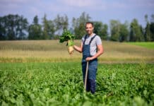 Lindinger: „Weniger Bürokratie, aber mehr Planungssicherheit“