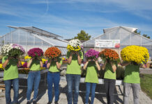 Tag der offenen Tür in der Gartenbauschule Langenlois
