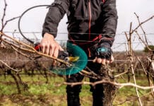 EIMA in Bologna: Die besten Innovationen stehen fest