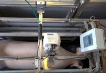 Die besten Innovationen für Grünland und Stall