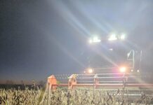 Durchwachsene Erträge, schlechte Preise