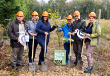 Forstwirtschaft zum Erleben