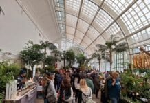 Wenn im Palmenhaus der Herbst einzieht