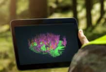 Waldinventur mit dem digitalen Auge