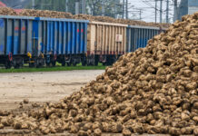 Gutes Krisenmanagement hat zum Aufatmen geführt