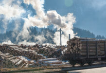 EUDR-Verschiebung soll im Eilverfahren durchs EU-Parlament