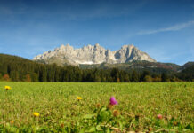 Tirols strenges Grundverkehrsgesetz funktioniert