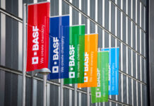 BASF-Agrarsparte vor Ausgliederung