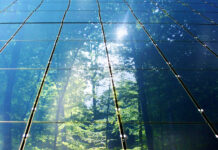 Waldbauern sind Klimaschützer