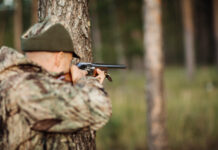 Wolfsabschussverordnungen: Beschwerde gescheitert