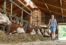 Arbeitsplatzförderung: 120 Euro pro Monat für Jungbauern