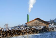 Wo sich alles um die Biomasse dreht