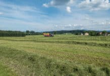 Erntebilanz im Grünland, Obst- und Gemüsebau