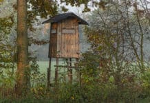 Jagdgebiete in OÖ digitalisiert: Schnell reagieren und verwalten