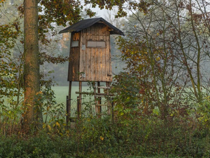 Hochstand 20 ID92274