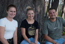 Aus neuer Perspektive