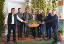 Die inneren Werte des Hopfens im Blick