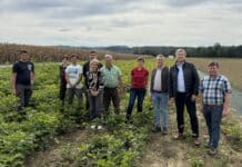 Die nächste Wahl in der Steiermark