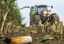 Hitzige Debatten um Patent EP3380618