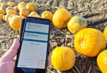 Aufzeichnungen effizient, einfach und rasch erledigen