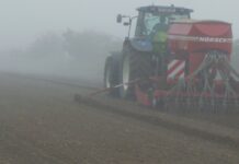 Später Getreideanbau auf Problemstandorten