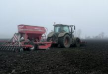 Spätanbau bei Winterweizen und Sommergerste