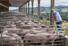 Praxistauglicher Tierschutz statt politischem „Geplänkel“