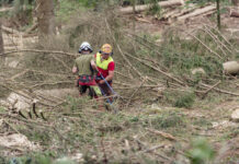 Wie steht es um den Arbeitsplatz Wald in Tirol?
