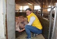 Junge Bäuerin erweckt alten Stall zu neuem Leben