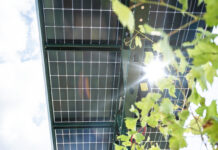 So denken Deutschlands Landwirte über Photovoltaik